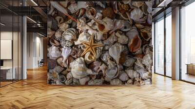 Beautiful colored seashells on sand background Wall mural