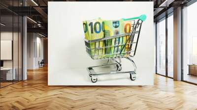 euro money in a shopping cart Wall mural