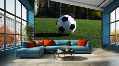 soccer ball on a green field Wall mural