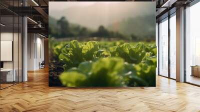 A farmer's field of salads. Wall mural