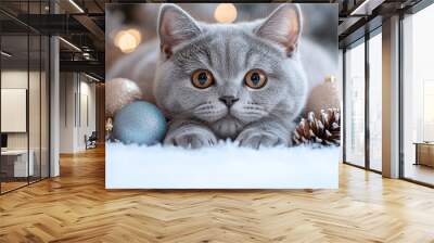 Grey British cat and Christmas decor. Wall mural