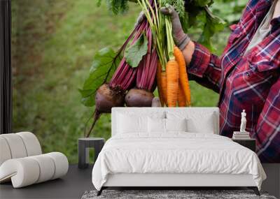 bio vegetables in the hands of a farmer, carrots and beets dug out of the ground, a good harvest of eco products Wall mural