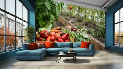 The harvested crop of organic vegetables in a wooden box stands in the greenhouse, a place for text Wall mural