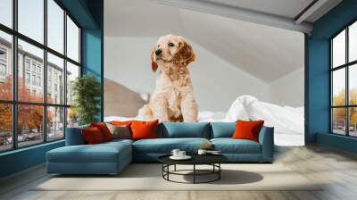 funny little puppy on a white blanket, Funny moments of a dog Wall mural