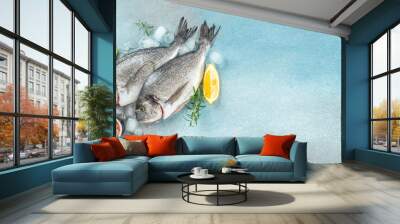 Raw fresh dorado or sea bream on ice cubes on blue concrete background. Long banner format. top view Wall mural