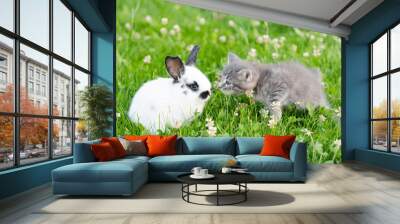 cute brown kitten and funny white bunny on a background of green grass and clovers in the afternoon in summer Wall mural