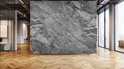 Gray grunge banner. Abstract stone background. The texture of the stone wall. Close-up. Light gray rock backdrop. Wall mural