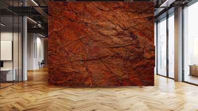 Red brown rock texture. Cracked mountain surface. Close-up. Stone background with space for design. Rusty grunge backdrop. Wall mural