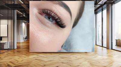 Lash extensions macro blue eye top view  Wall mural