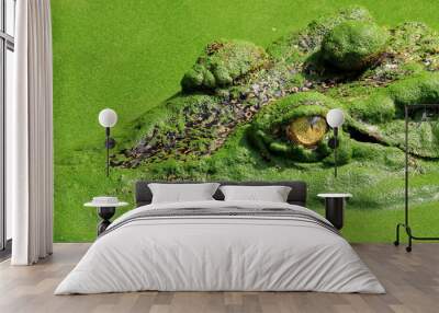 crocodile Wall mural