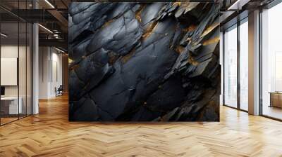 The texture of a black stone with gold flecks Wall mural