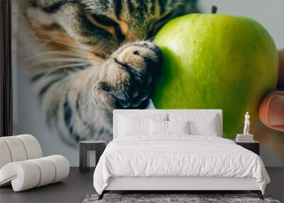 A gray striped cat and a human male hand holding a green juicy apple. Wall mural