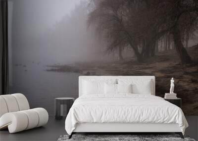 A foggy winter morning near the river. Wall mural