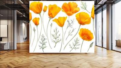 Watercolor california orange poppies isolated. Hand painted illustration with sunny bright orange and yellow flowers to design invitations, postcards and other print Wall mural