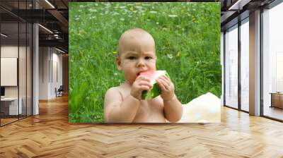 baby eats watermelon, baby outdoors, first lure Wall mural