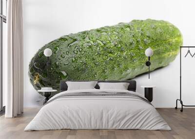 Cucumber. Wall mural