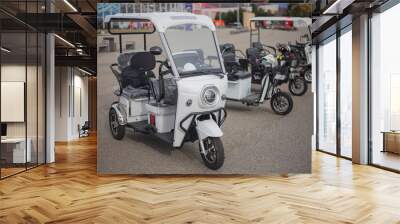 Electric motorcycles are in a row. Wall mural