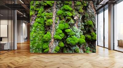 Moss on the tree. Texture of moss on a tree bark in a forest. Natural green background. Macro shot of a plant surface. Beauty of nature. Wall mural