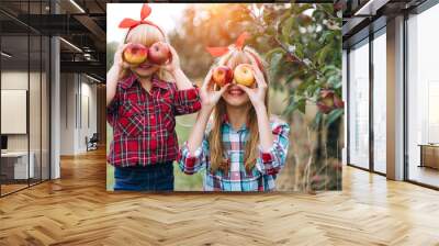 Two little blond-haired little sisters harvesting in an apple orchard. It is warm autumn time Wall mural