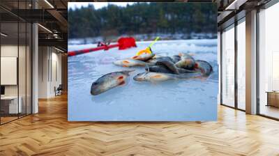 Ice drill, winter rod and perch fish on ice. Winter fishing. Wall mural