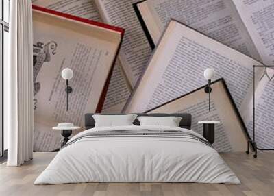 book text literature dict Wall mural