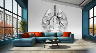 Lungs anatomy in white background Wall mural