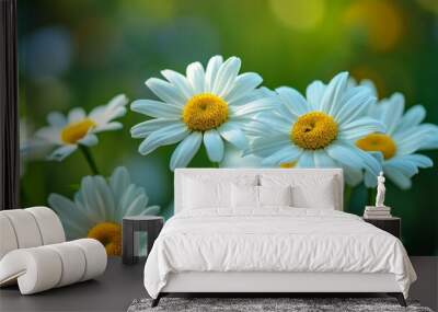 Nature scene with yellow light and white daisy flowers Wall mural