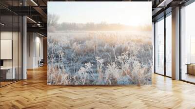 Frost-covered grassland at sunrise in a tranquil winter landscape Wall mural