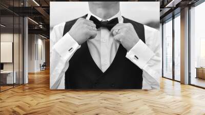 The groom is preparing for the wedding, holding hands on a butterfly on the neck Wall mural