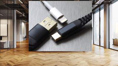 USB type C and lightning cable connector on a gray metal background Wall mural