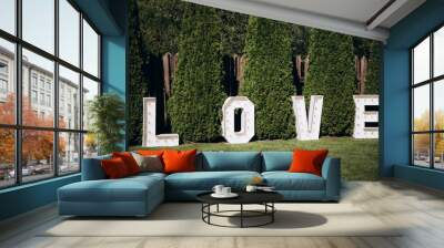 love Wall mural