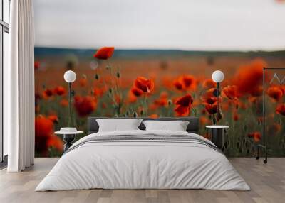 Beautiful spring red poppy. red flowers Wall mural