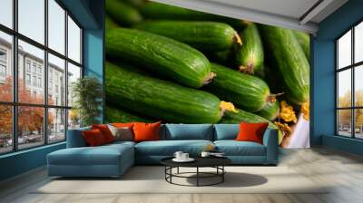 A pile of green fresh cucumbers on the supermarket counter Wall mural