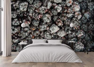 summer still life of ripe blackberry berries Wall mural