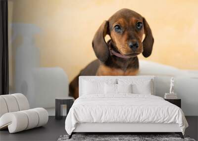 puppy sitting next to diapers and paper napkins Wall mural