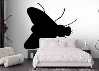 Insects. Set of three flies - green in cartoon style, black silhouette and outline style. Drawing isolated on a white background. Stock vector illustration. Wall mural