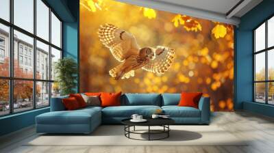 wild owl flying on nature bright sunny autumn vibrant forest with lens flare background Wall mural