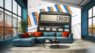 Close-up of a calculator with the word credit written on the monitor. Documents with columns of numbers and a chart. Business and financial concept Wall mural