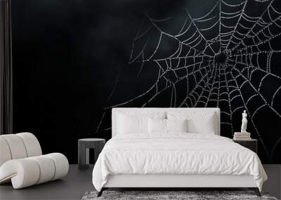 An abstract horror background showcasing a delicate spiderweb on a solid black canvas, designed to create a chilling ambiance for Halloween festivities Wall mural