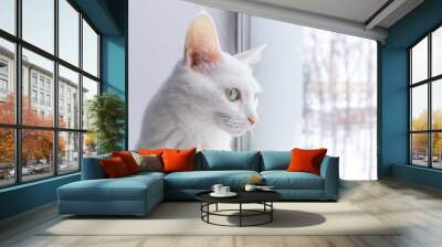 Portrait of a white cat with green eyes on a light background Wall mural