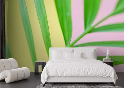 Stylish summer concept, palm background. Closeup palm leaf on pastel yellow and pink. Brightness, minimalism, design, trend. Wall mural