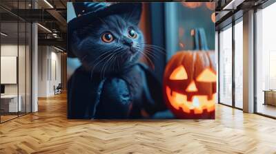 Halloween concept with Black cat  Wall mural