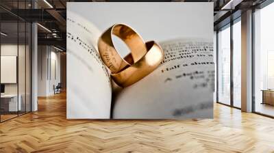 gold rings on the pages of the book. The reflection of the words in the rings. Wall mural