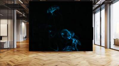 Smoke on a black background. Abstraction. Wall mural