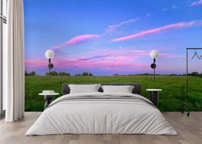 colorful pink sunset in a summer green field Wall mural