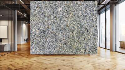 Background Granite stone slab. Wall mural