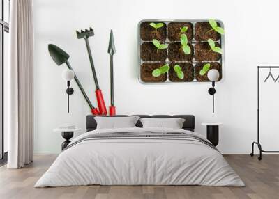 green shoots of plants in boxes and garden tools on a white background. Wall mural