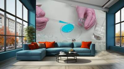 research work in the laboratory close up. scientist's hands in pink gloves  Wall mural