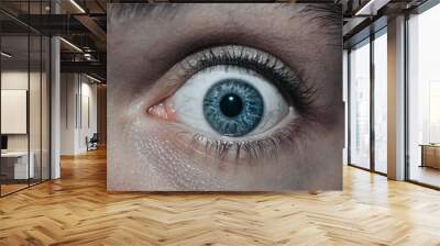 Close up of Surprised Scared Look. Close up of Eye. Blue Eye with Veins.  Wall mural