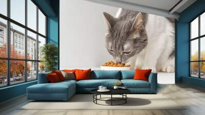 A gray and white cat eats food from a white bowl Wall mural